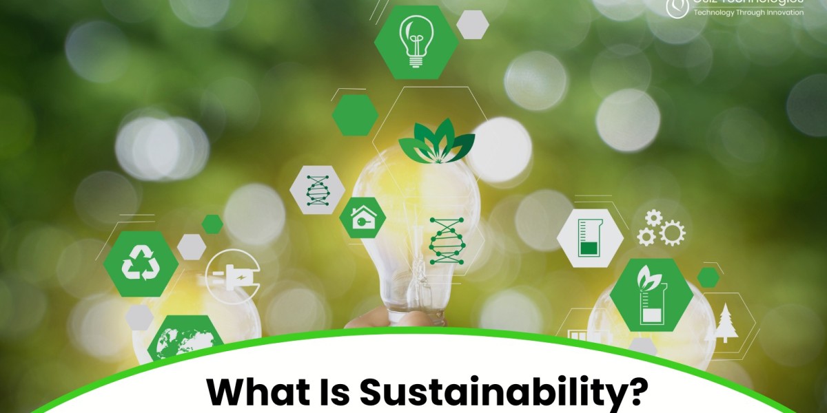 What Is Sustainability - Everything You Need to Know!
