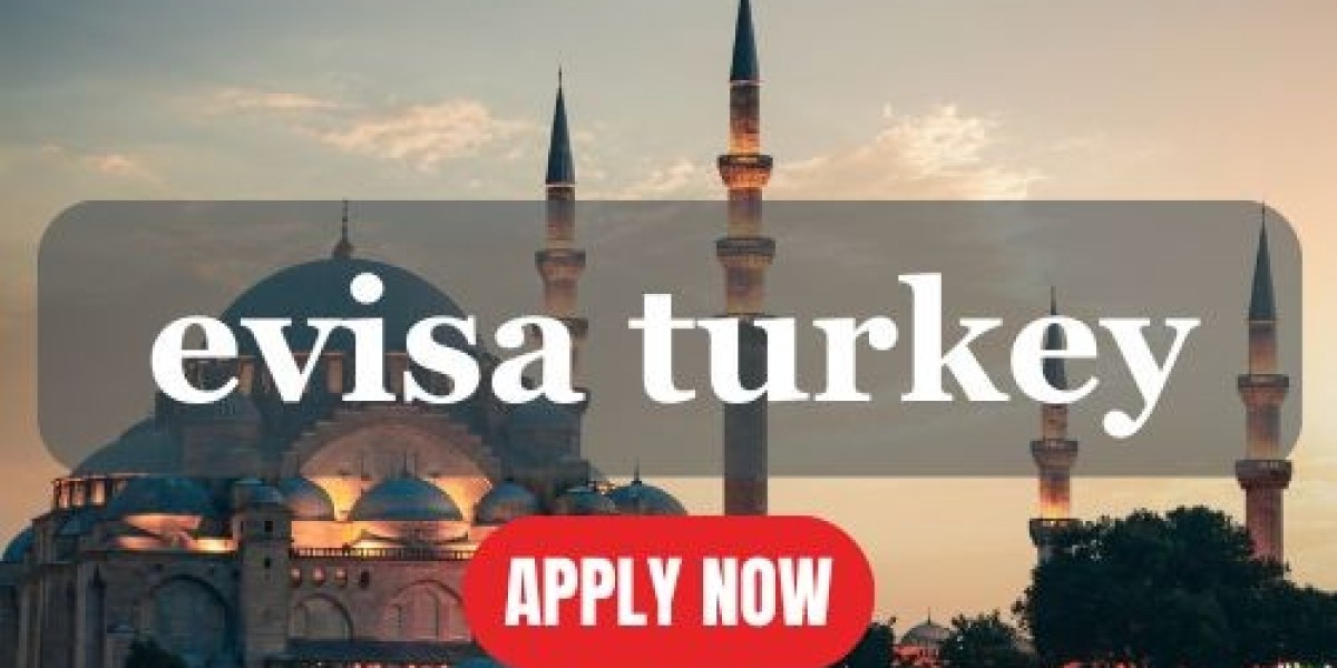 "Evisa Turkey Application Process: A Comprehensive Guide"
