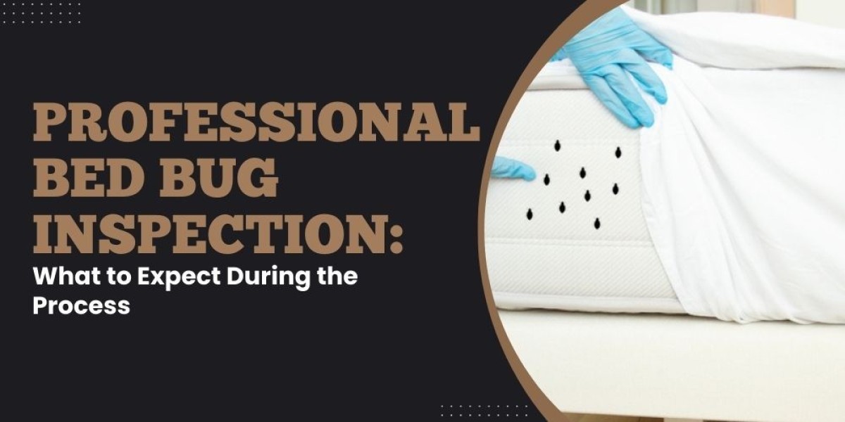 Professional Bed Bug Inspection: What to Expect During the Process