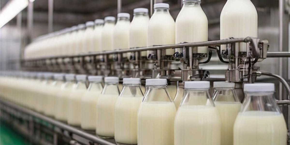 UHT Milk Processing Plant Report 2024 | Project Details, Machinery Requirements and Cost Involved