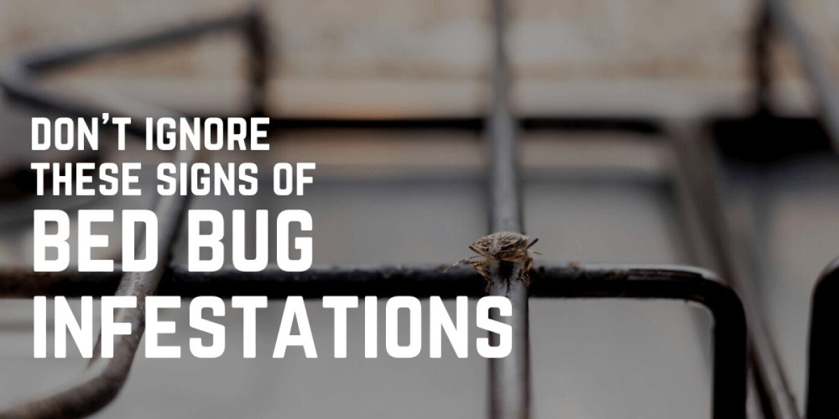 Don't Ignore These Signs of Bed Bug Infestations