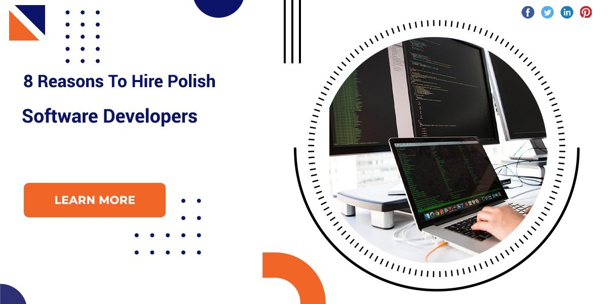 8 Reasons To Hire Polish Software Developers