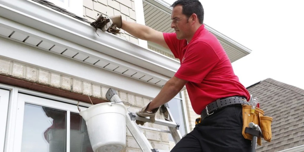 Green Solutions for Eco-Friendly Gutter Cleaning