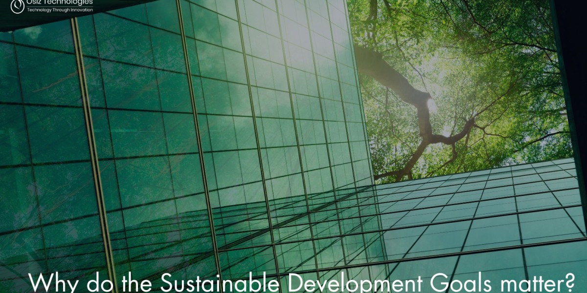 Why do the Sustainable Development Goals matter?