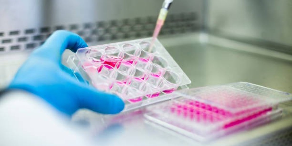 Cell Culture Market Will Experience Unprecedented Growth Due To Rising Demand For Biologics