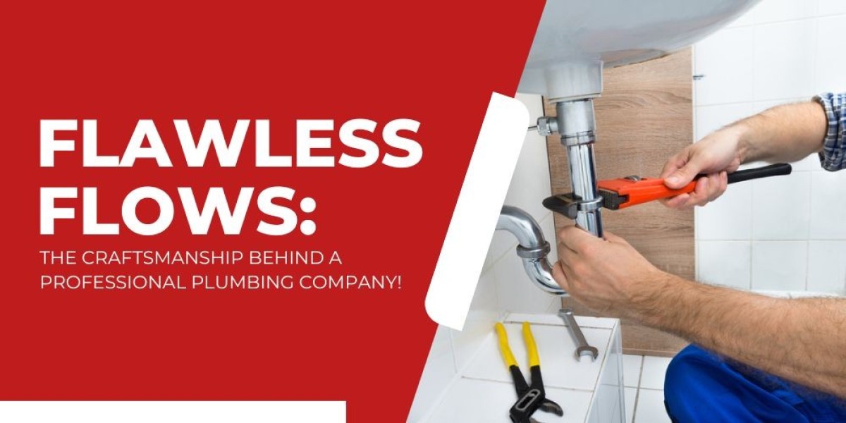 Flawless Flows: The Craftsmanship Behind a Professional Plumbing Company!