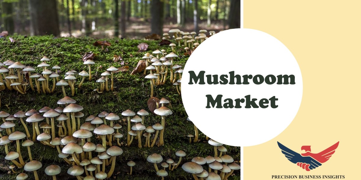 Mushroom Market Size, Demand, Research Report Forecast 2024