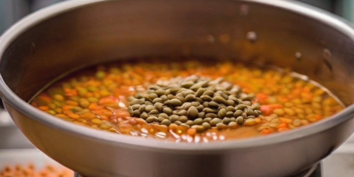 Lentil Soup Manufacturing Plant Project Report 2024: Industry Trends, Unit Setup and Machinery