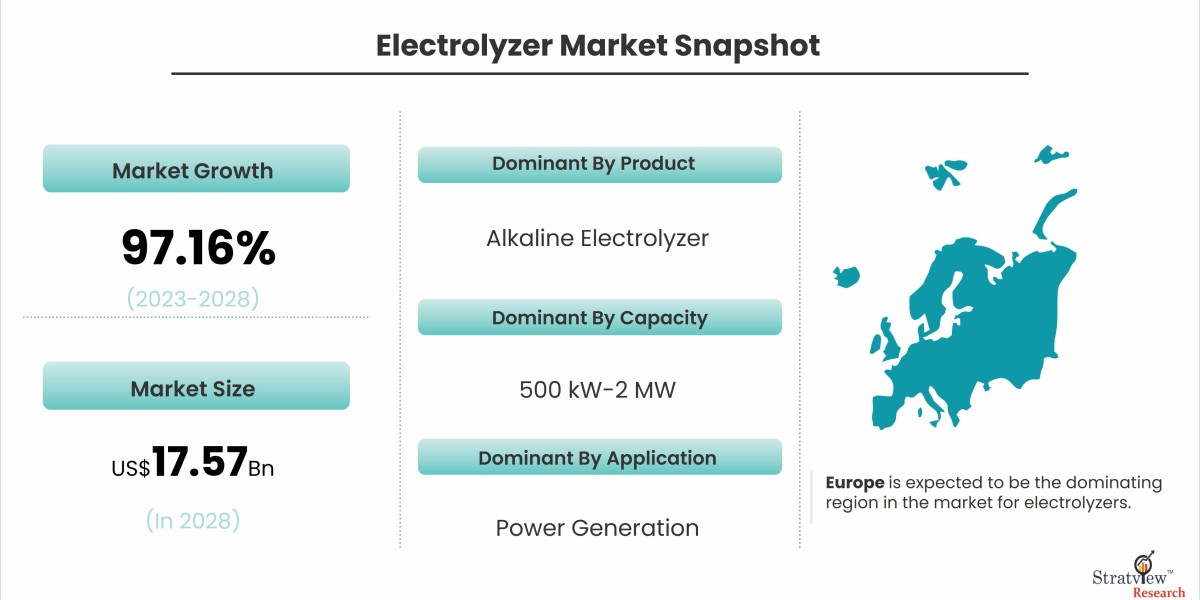 Breaking Down Water: Insights into the Electrolyzer Market Dynamics