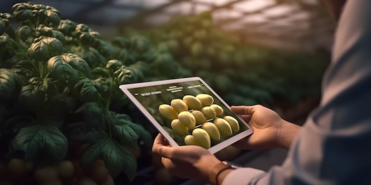 Untapped Potential: Investigating Smart Agriculture Market Size, Share, Future Demand, and Growth Trends