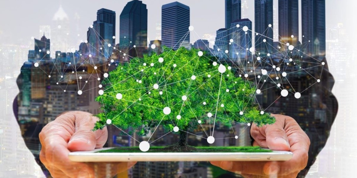Shaping a Greener Future: A Look at the Booming Sustainability Management Software Market