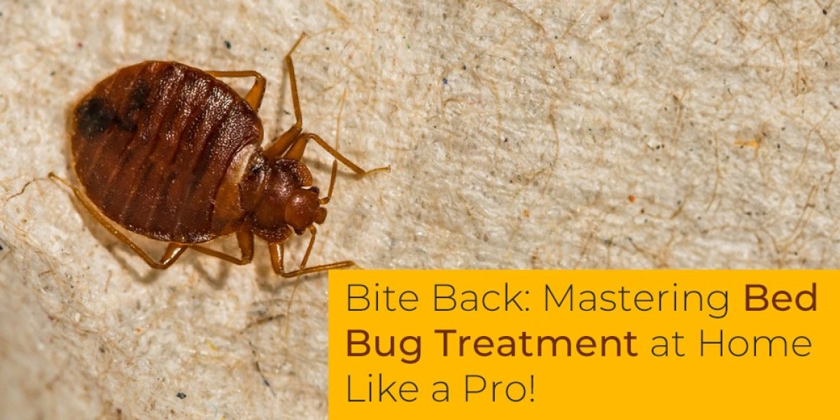 Bite Back: Mastering Bed Bug Treatment at Home Like a Pro!