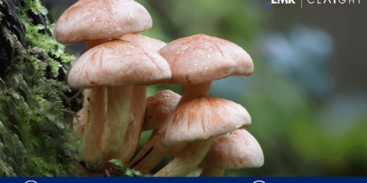 Unveiling Growth: The Thriving Landscape of Argentina Mushroom Market