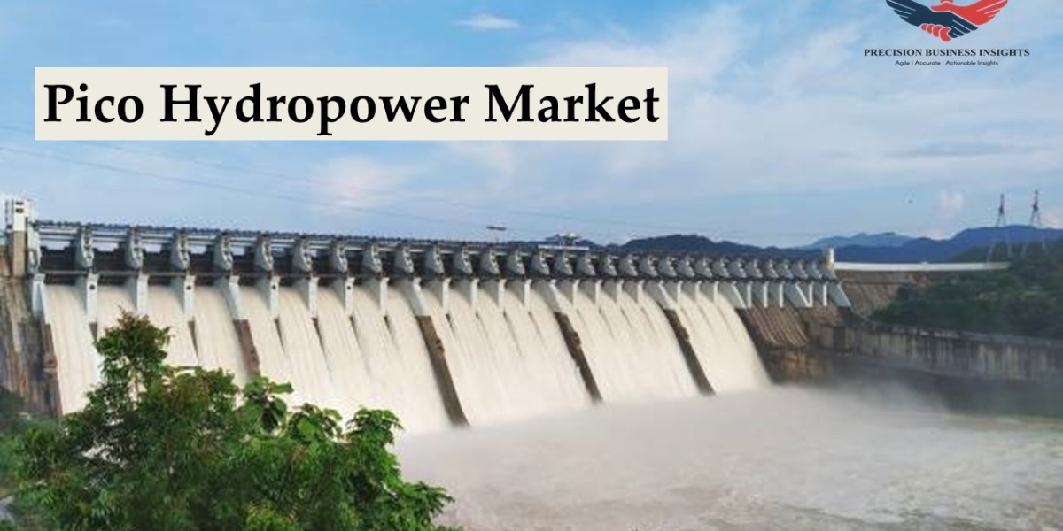 Pico Hydropower Market Size, Share, Emerging Trends and Forecast Report 2024-2030