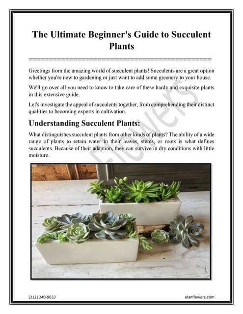 The Ultimate Beginners Guide to Succulent Plants.docx