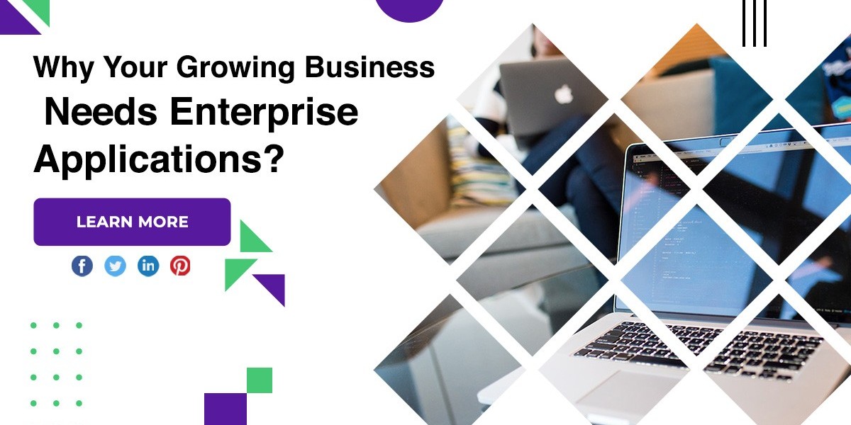 Why Your Growing Business Needs Enterprise Applications