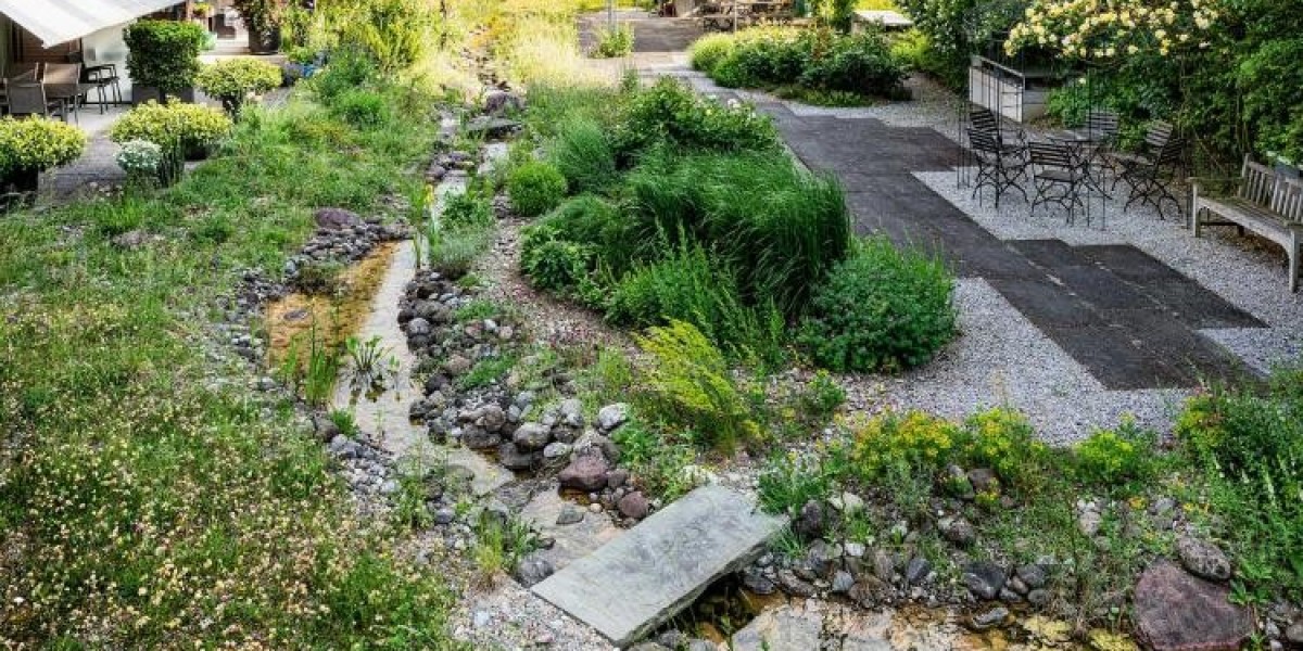 The Naturgarten: A Budget-Friendly Garden Oasis