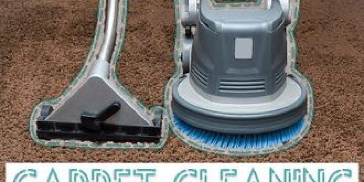 Best Vacuum Cleaners for Carpet Maintenance in Brooklyn