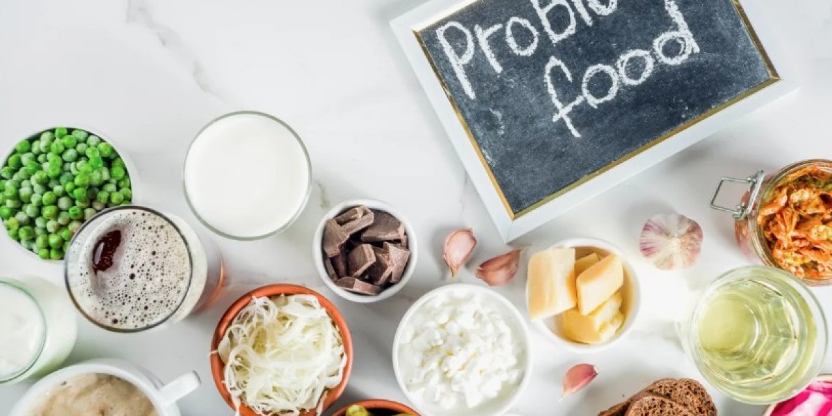 Probiotic Ingredients Market Size & Share | Growth Forecasts 2028