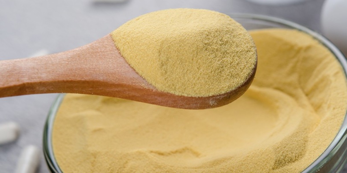 Yeast Extracts Market Size, Share And Industry Analysis 2031