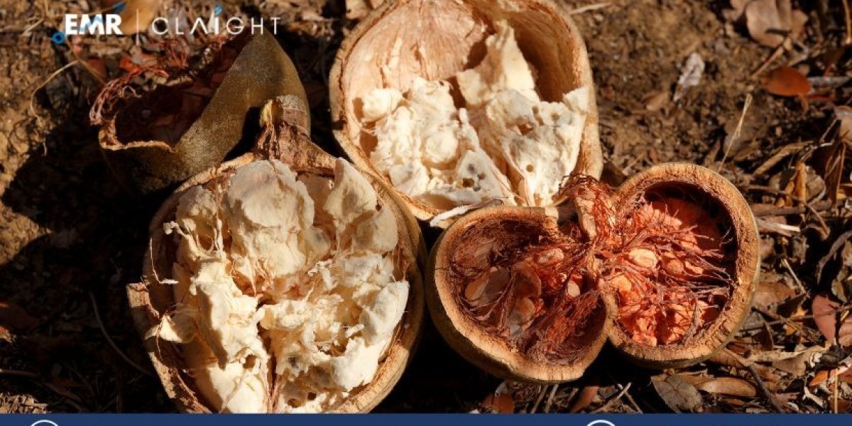 Baobab Ingredient Market Trends, Size, Share and Industry Growth 2024-2032