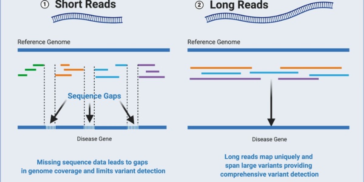 long read sequencing Market Size, Trends and Forecast to 2028