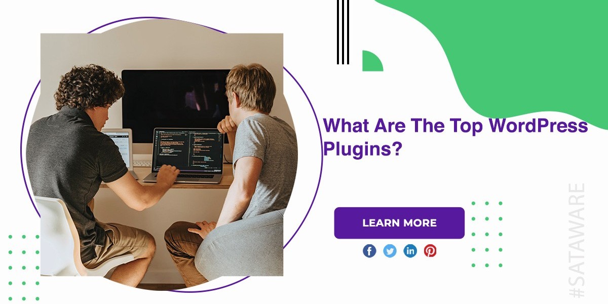What Are The Top WordPress Plugins?