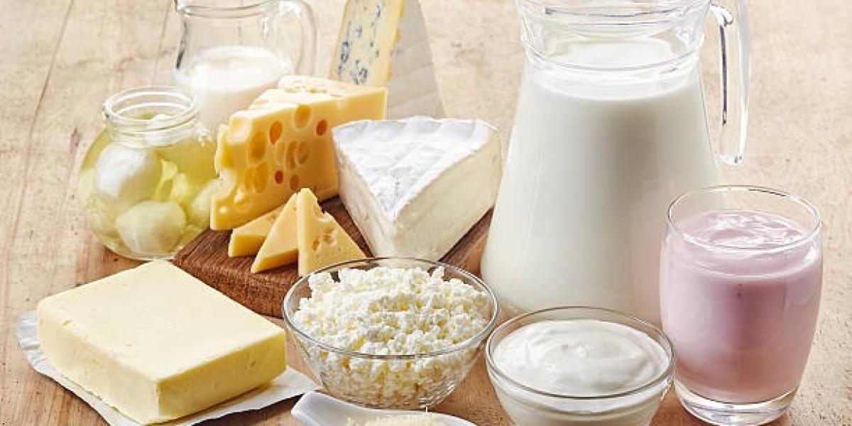 Germany Dairy Ingredients Market Size Analysis by Regional Developments, Demand Factors, Share and Forecast to 2032