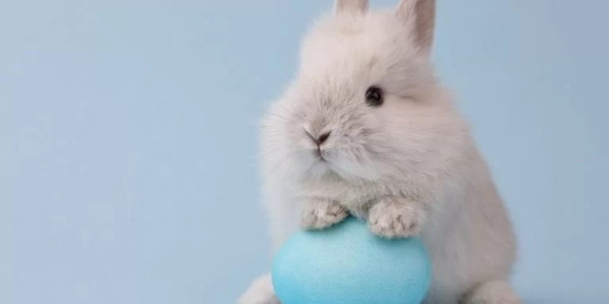 Uncovering the Mystery: Do Bunnies Lay Eggs?
