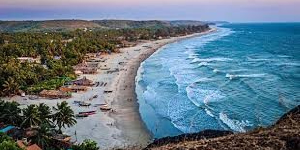 Discover the Best of South Goa: Ultimate Tour Package