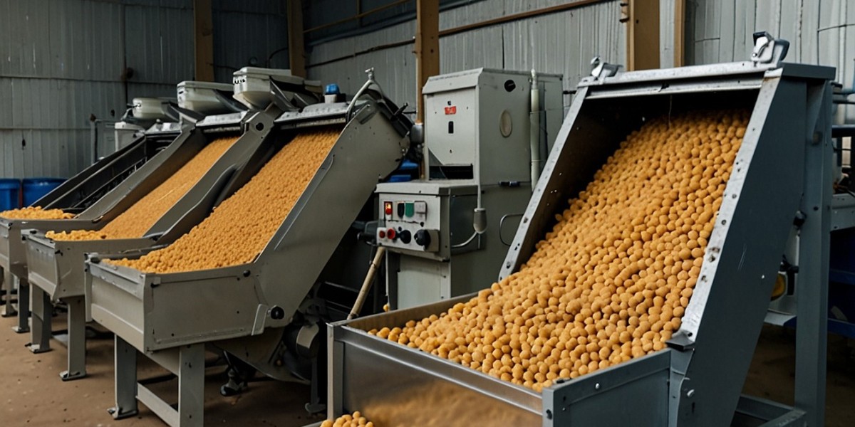 Chickpea Processing Plant Report 2024, Project Details, Machinery Requirements and Cost Analysis