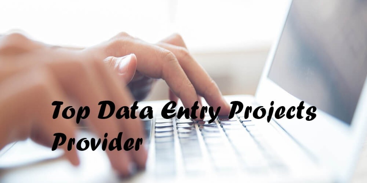 Top Data Entry Projects Provider