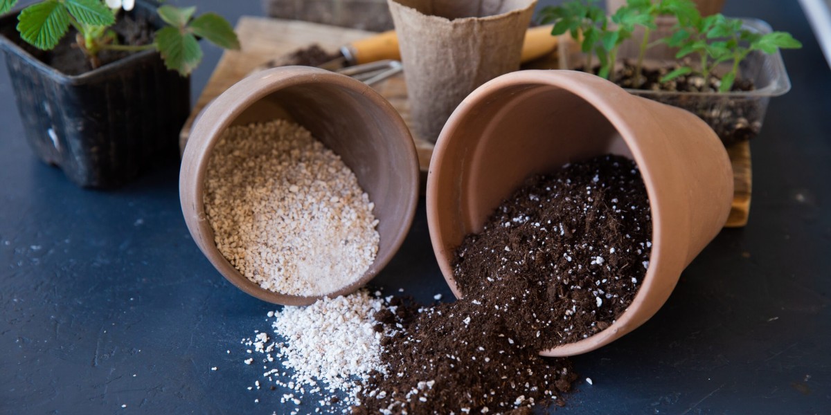 What is Perlite for Plants?