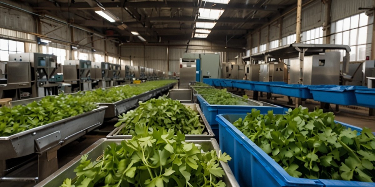 Cilantro Processing Plant Project Report: Setup Cost, Capital Investments and Expenses