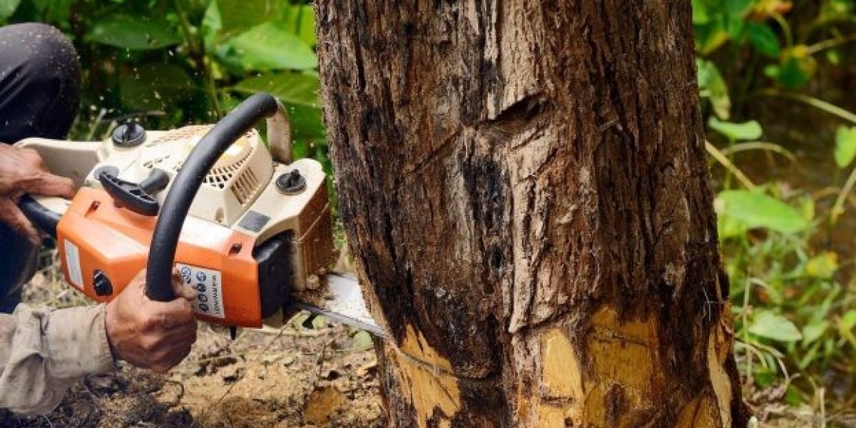 Preserve and Protect: Professional Tree Cutting Services for Sydney's Urban Landscape