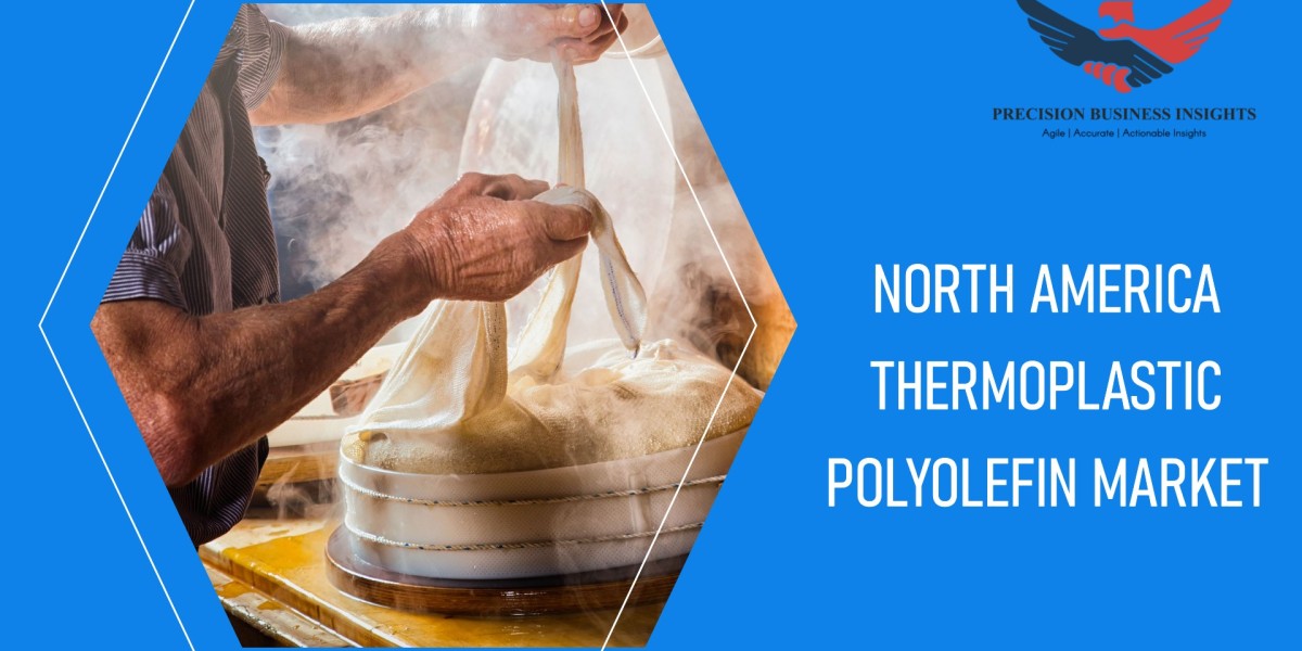 North America Thermoplastic Polyolefin Market Size, Growth Insights 2024