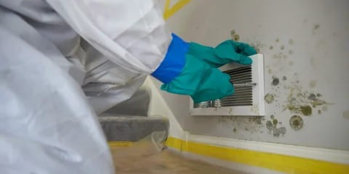 Mold Remediation Service Market is Anticipated to Witness High Growth Owing