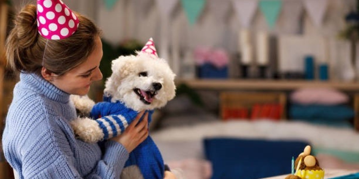 How to Choose the Best Puppy Sitting Services for Parties in Lakewood, CO?