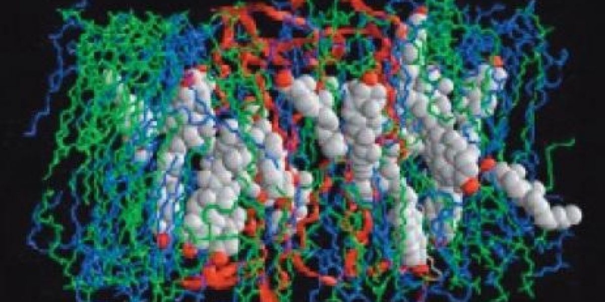 G-Protein Coupled Receptors (GPCRs) Market Share, Size, Key Players, Opportunity and Forecast 2024-2032