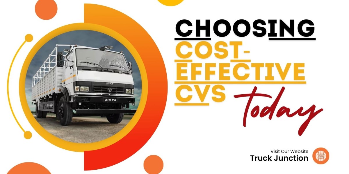Choosing Cost-Effective CVs Without Compromising Quality