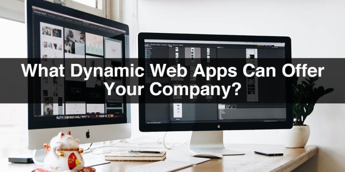 What Dynamic Web Apps Can Offer Your Company?