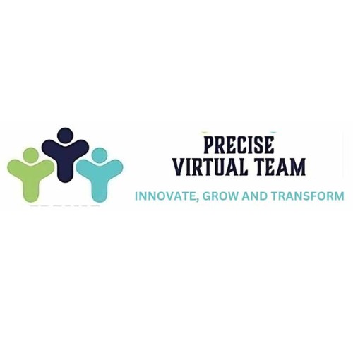 precisevirtualteam team