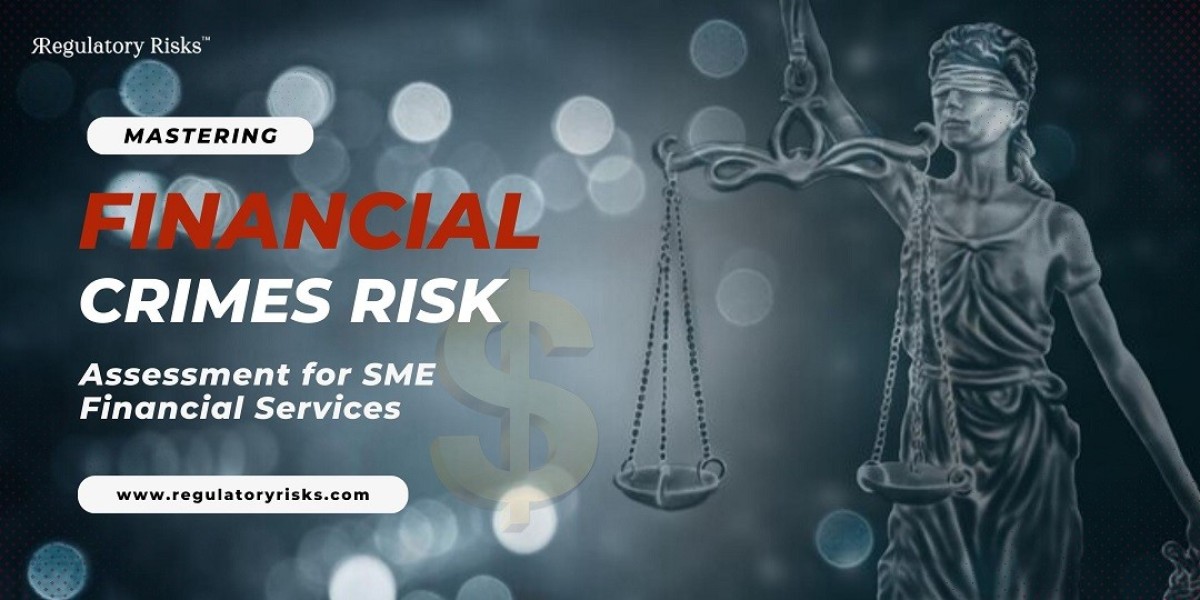 Mastering Financial Crimes Risk Assessment for SME Financial Services