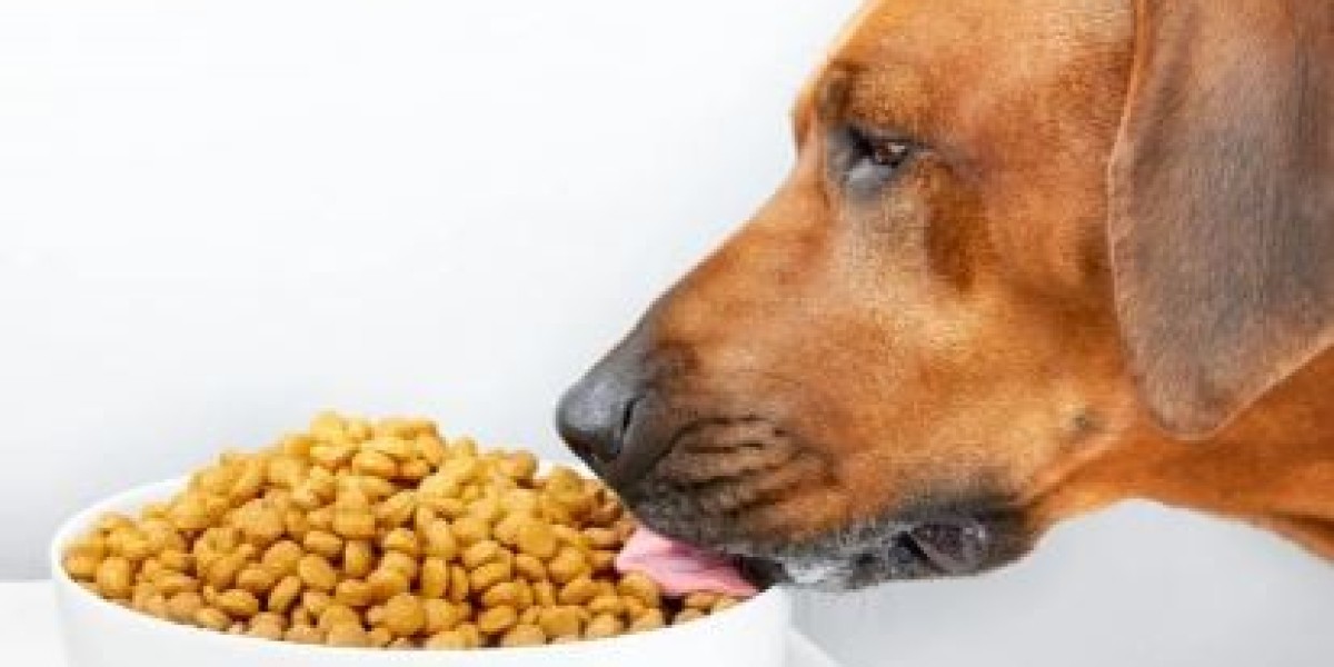 Pet Food Market Size, Share, Trends, Industry Analysis, Report 2024-2032