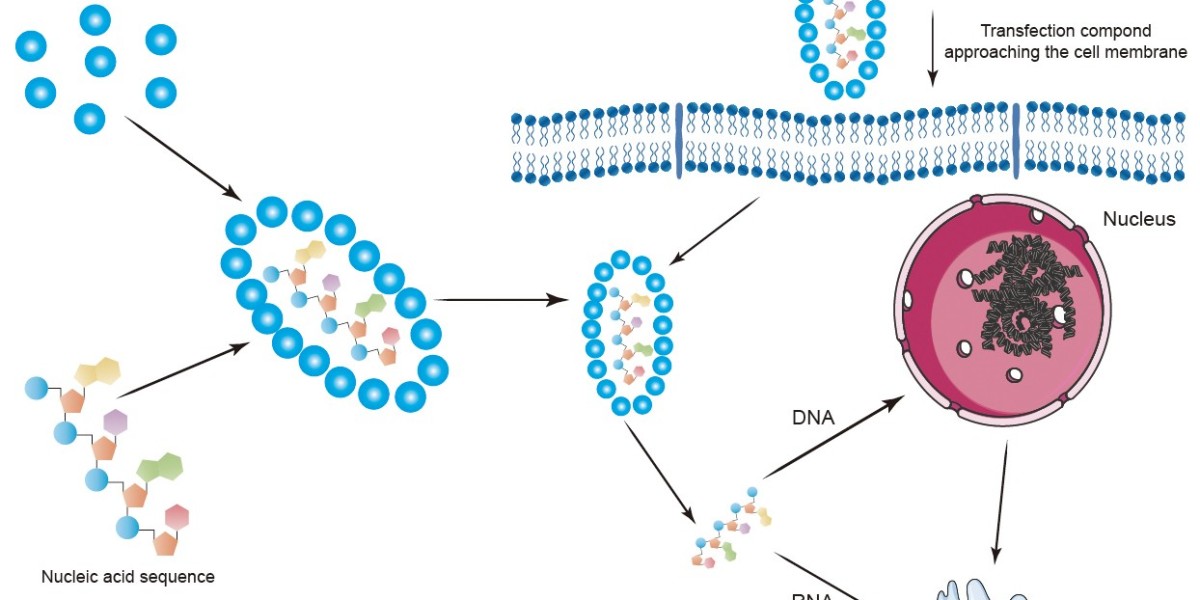 Aptamers for Targeted Delivery and Research Applications