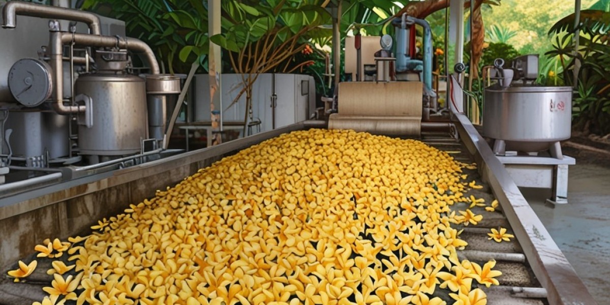 Plumeria Oil (Frangipani) Processing Plant Project Report 2024: Setup Cost, Machinery Requirements and Raw Materials