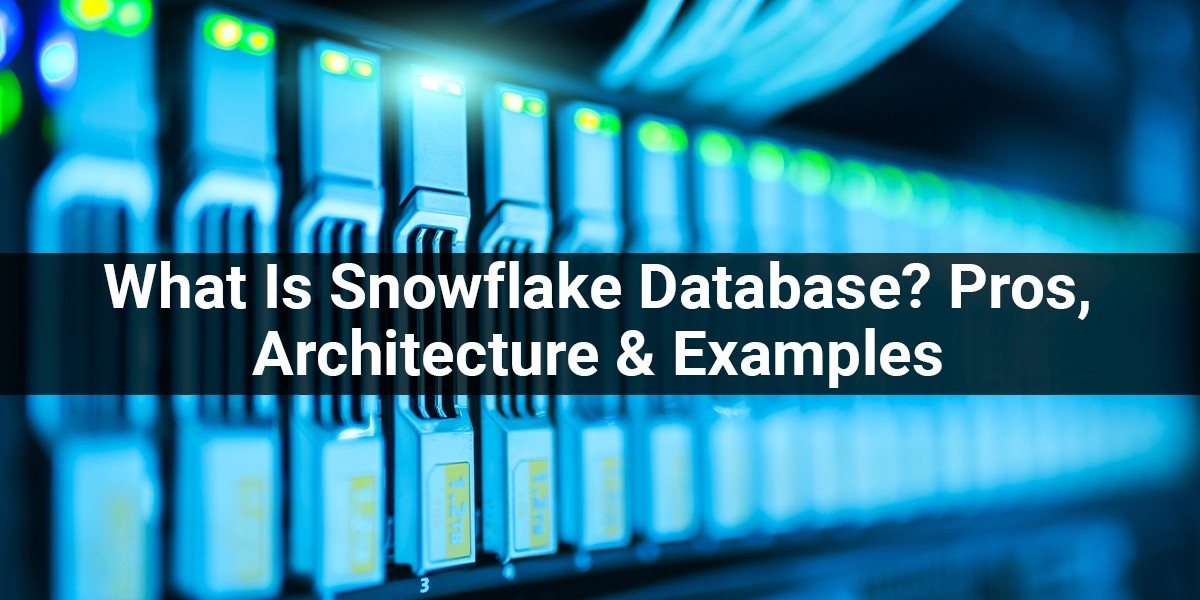 What Is Snowflake Database? Pros, Architecture & Examples