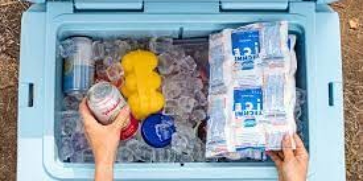 Camping Coolers Market Share, Size, In-Depth Insights and Forecast 2024-2032