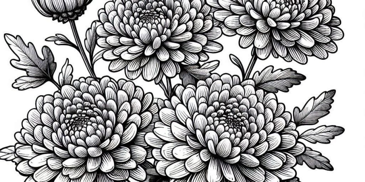 Free Printable Coloring Pages for All Ages: Explore Your Creativity