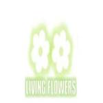 livingflowers livingflowers